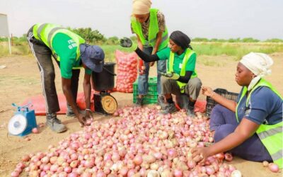 Création d’un centre d’apprentissage pratique sur une parcelle de 15Ha